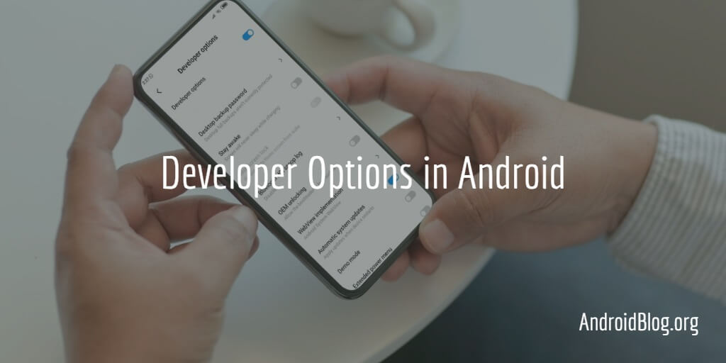 Enable Developer Options